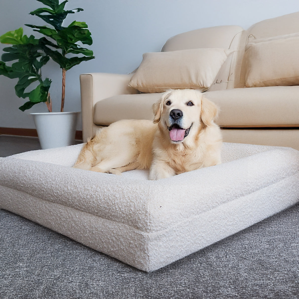 Aella Orthopedic Dog Customer Testimonials